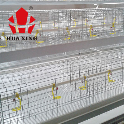 Facile materiale immerso caldo della rete metallica del pollame della gabbia commerciale del pollo installare