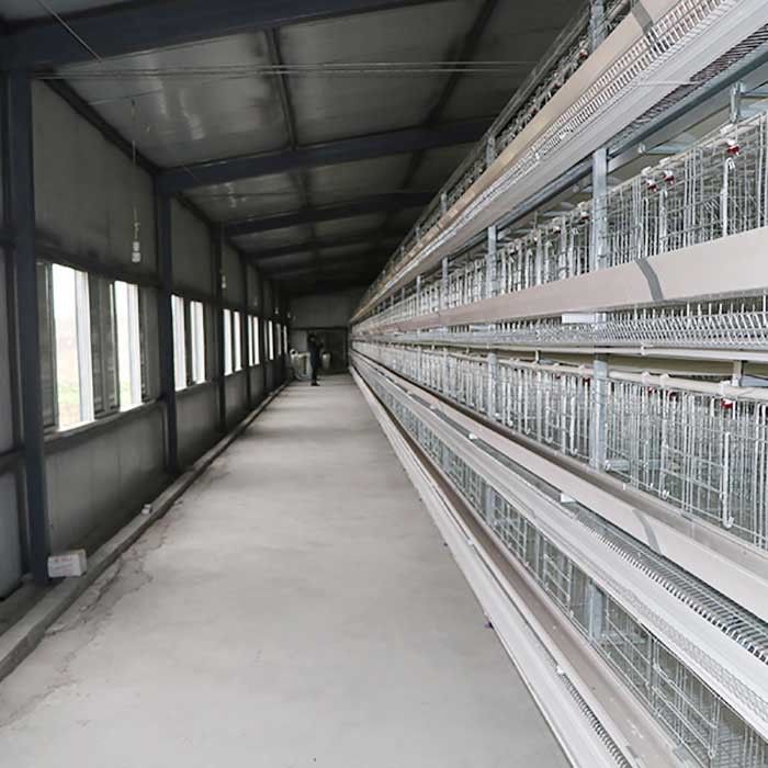 Strato metallico tenuta dell'uovo che coltiva gabbia, gabbie progettate scientifiche della gallina di strato