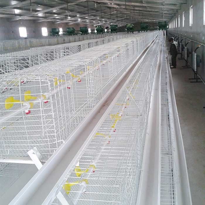 Resistente ad alta temperatura della gabbia bianca d'argento del pollo da carne con l'alimentazione/sistema della CE