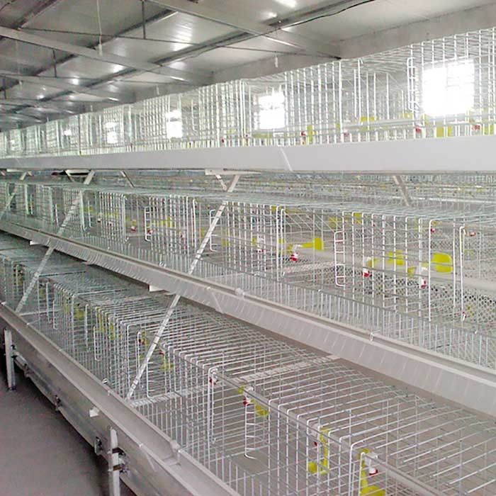 Resistente ad alta temperatura della gabbia bianca d'argento del pollo da carne con l'alimentazione/sistema della CE
