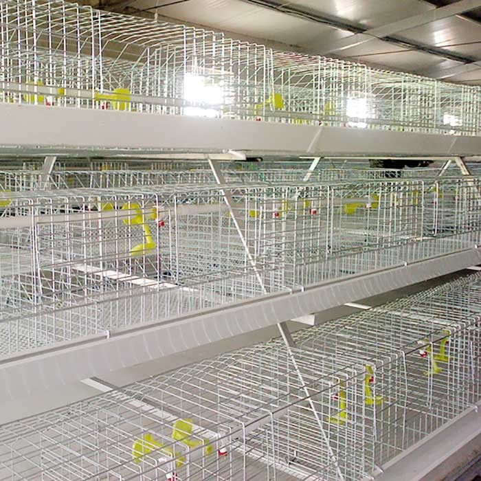 gabbia del pollo del metallo 0.75kw, gabbie a pile automatizzate di controllo per pollame