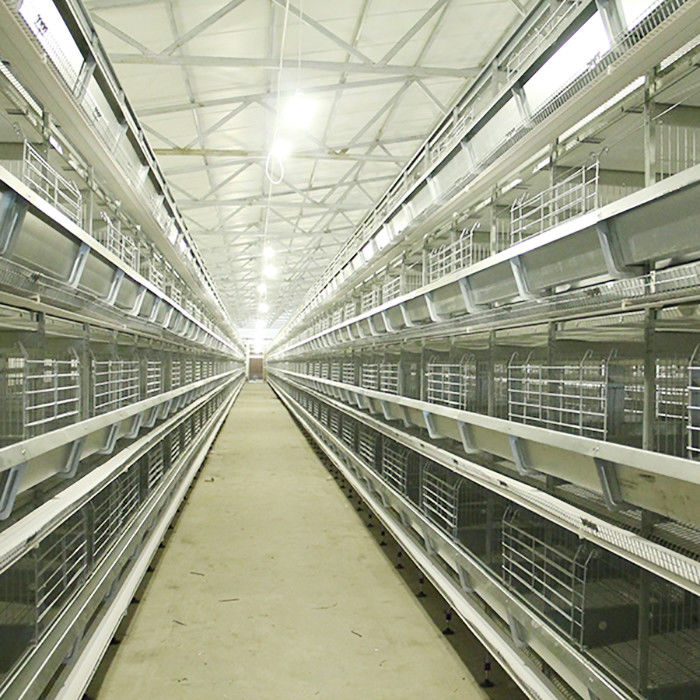 Attrezzatura automatica dell'azienda agricola di pollo, gabbia del pollo di tecnologia dell'acciaio di forma di 380V U ciao