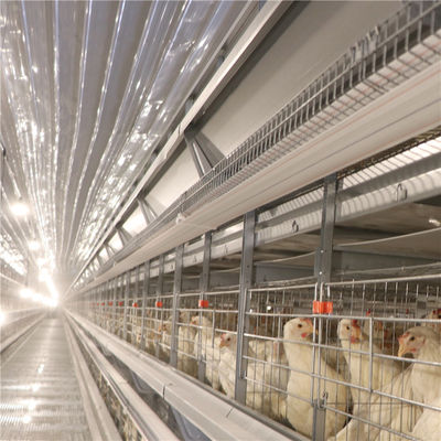 Il pollo di strato della batteria dell'uovo dello SGS ingabbia la resistenza di corrosione dell'azienda avicola