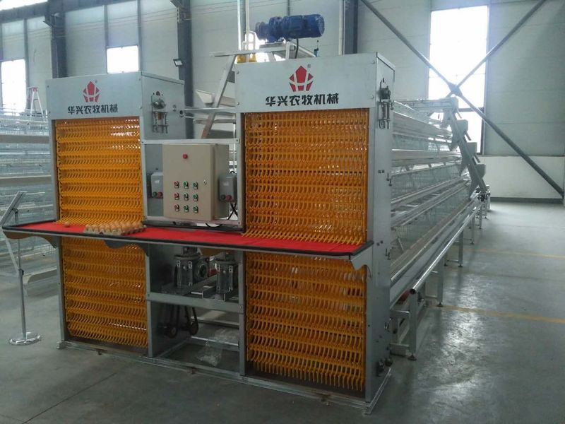 Henan Huaxing Poultry Equipments Co.,Ltd. linea di produzione in fabbrica