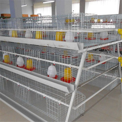 Sistema d'alimentazione di 3 Tires HDG Chick Brooder Cage With Manual