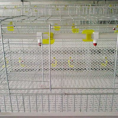 Tipo galvanizzato immerso caldo 4 porte della gabbia H del pollo da carne della fila 2 per l'azienda agricola