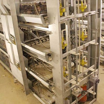 Servizio moderno commerciale di personalizzazione delle porte di grande capacità 8 della gabbia del pulcino del bambino