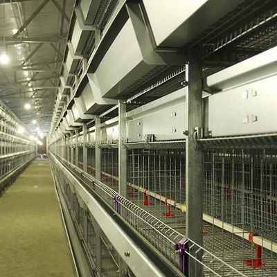 Cavo della gabbia del pollo di avicoltura, gabbia alta tecnologia resistente ad alta temperatura del pollo