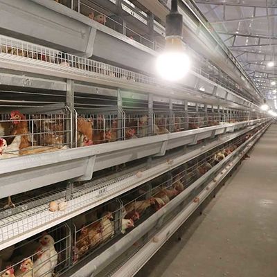 Le attrezzature che automatiche dell'azienda avicola di pollame da uova la H scrive gli uccelli a macchina 4Tiers 192 mettono a strati la gabbia del pollo della batteria per i mercati dell'Africa