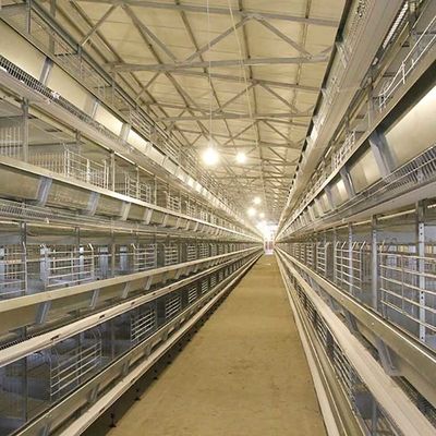 Sistema automatico della gabbia di strato dell'uovo del pollo della batteria dell'attrezzatura di avicoltura di strato