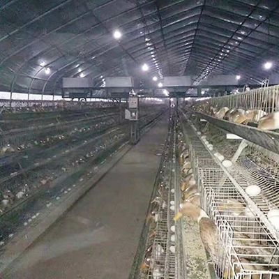 Un'azienda avicola di Duck Breeding Farming Cage For di strato del pollo della struttura