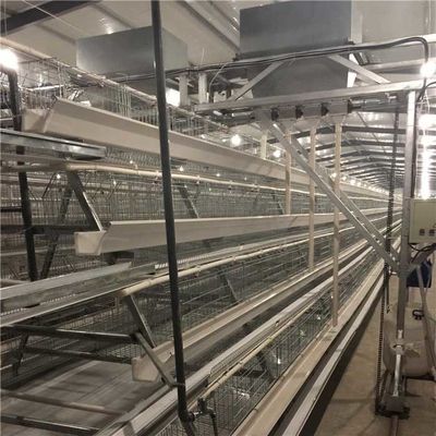 Velocità di trasporto rapida del pollame dell'azienda agricola della larga scala del sistema automatico dell'alimentatore