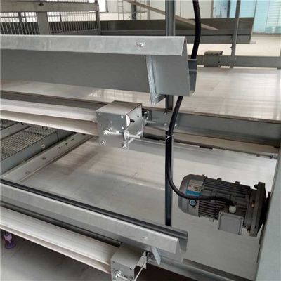 La H scrive a sistema automatico di rimozione del concime il rendimento elevato a macchina per l'azienda agricola di pollo