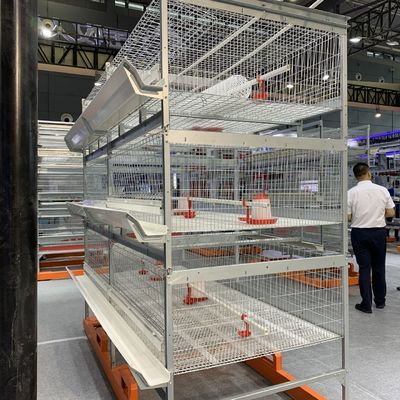 Gabbia del pollo del pollame degli uccelli delle porte 264 del laboratorio 24