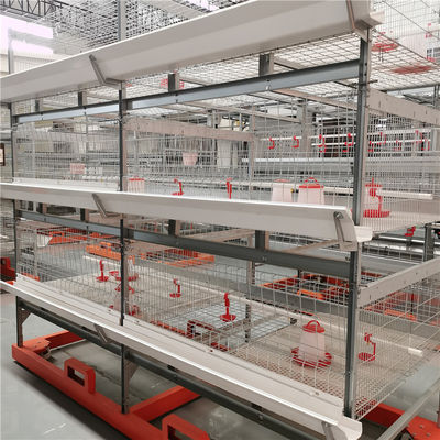 Tipo progettazione di H della gabbia del pollo da carne con il sistema d'alimentazione, sistema bevente