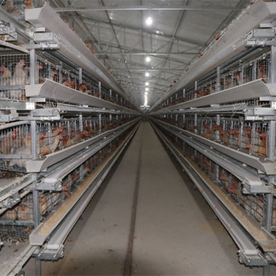 tipo 128 gabbia di 4tier H di strato del pollo degli uccelli con il sistema di pulizia automatico della cinghia