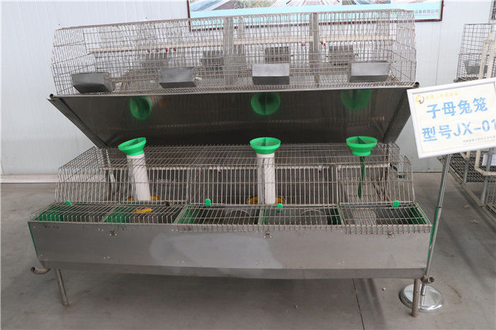 Sistema commerciale di Mesh Rabbit Cage Automatic Control del cavo di posizione del pollame 24