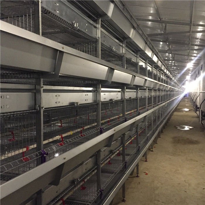 Un tipo progettazione di 4 file H di nidiata degli uccelli di Chick Cage 192 del bambino