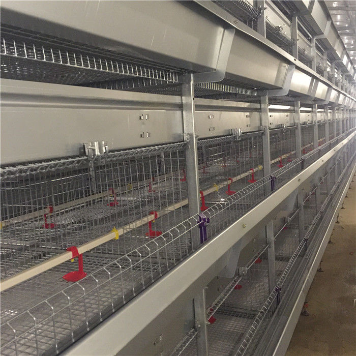 Un tipo progettazione di 4 file H di nidiata degli uccelli di Chick Cage 192 del bambino
