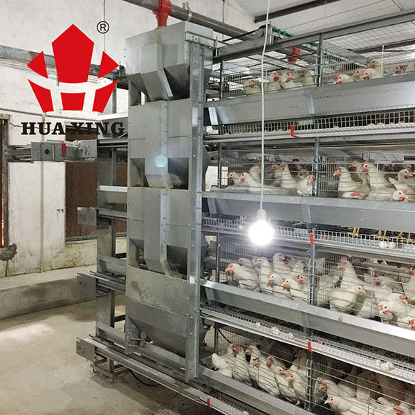 Alimentatore automatico dell'acqua della struttura razionale per i polli/alimentatore automatico del pollame per la griglia