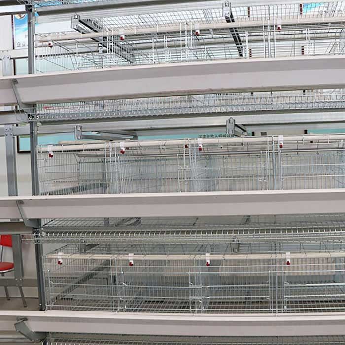 Capacità d'elevazione della gabbia del pollo del pollame della gabbia della batteria grande per l'innalzamento della gallina
