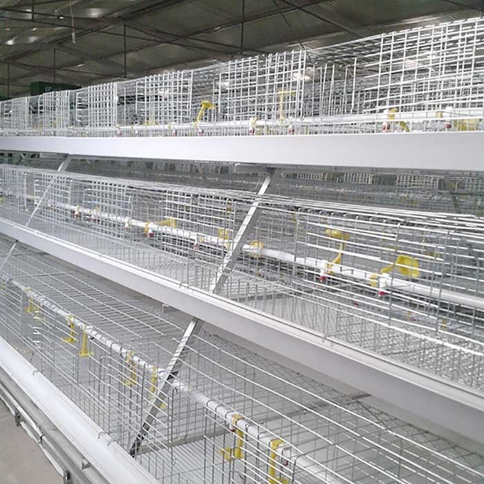 Una gabbia animale automatica di 3 file, sistema della gabbia della griglia di 96 - 120 uccelli per l'azienda agricola