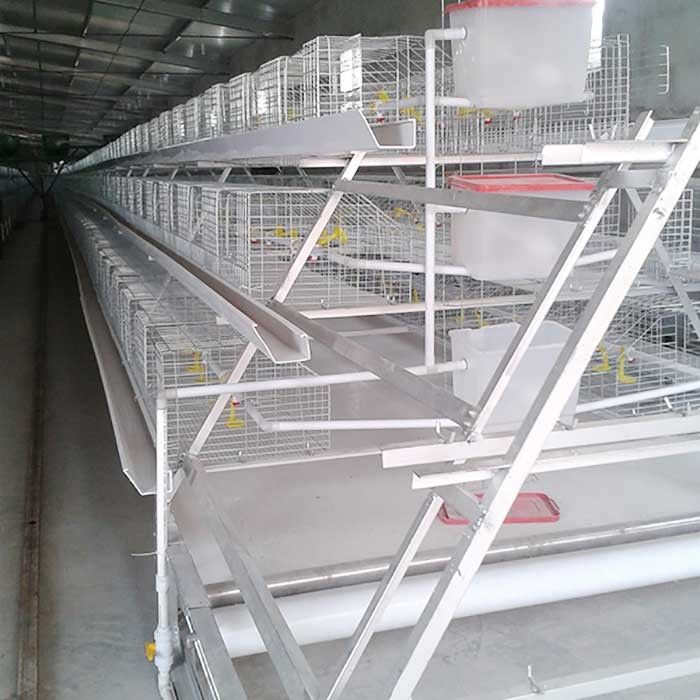 Tipo galvanizzato immerso caldo 4 porte della gabbia H del pollo da carne della fila 2 per l'azienda agricola