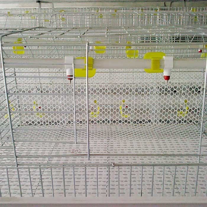 Tipo galvanizzato immerso caldo 4 porte della gabbia H del pollo da carne della fila 2 per l'azienda agricola