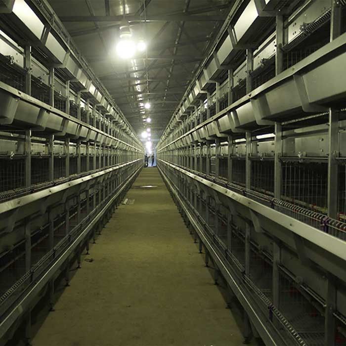 gabbia per i pulcini, 24 gabbie dell'incubatrice di 195 * di 50 * 35cm di isolamento del pollo delle porte