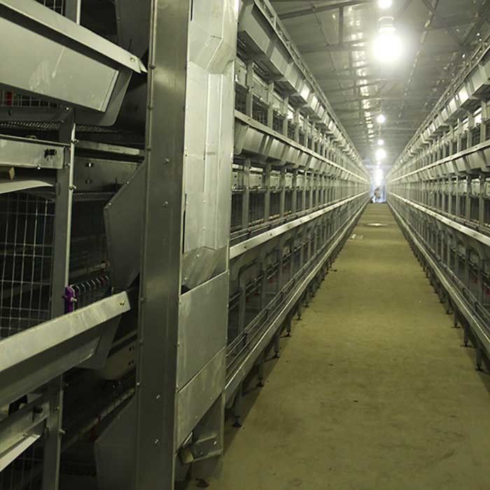 gabbia per i pulcini, 24 gabbie dell'incubatrice di 195 * di 50 * 35cm di isolamento del pollo delle porte