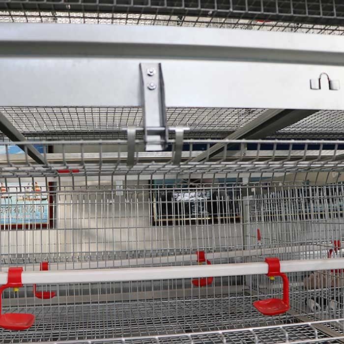 Servizio moderno commerciale di personalizzazione delle porte di grande capacità 8 della gabbia del pulcino del bambino
