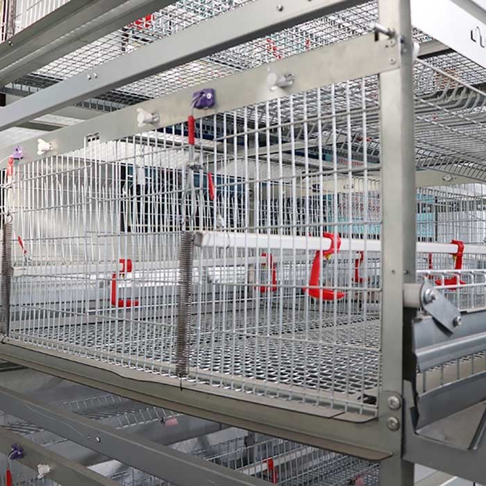 Bene durevole un tipo tasso di mortalità basso della gabbia del pulcino del bambino con il sistema d'alimentazione manuale