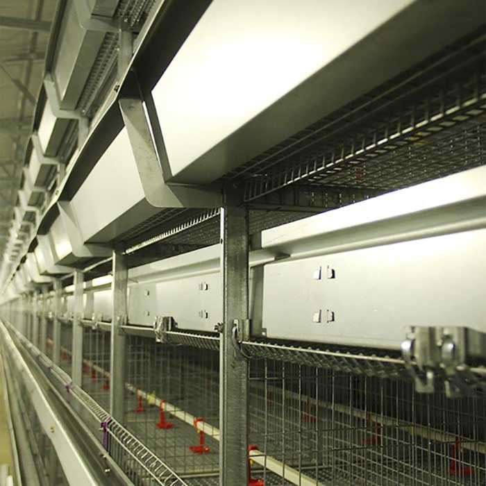 Cavo della gabbia del pollo di avicoltura, gabbia alta tecnologia resistente ad alta temperatura del pollo