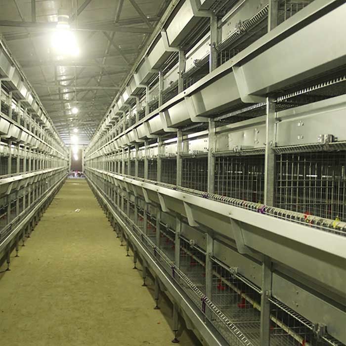 Cavo della gabbia del pollo di avicoltura, gabbia alta tecnologia resistente ad alta temperatura del pollo