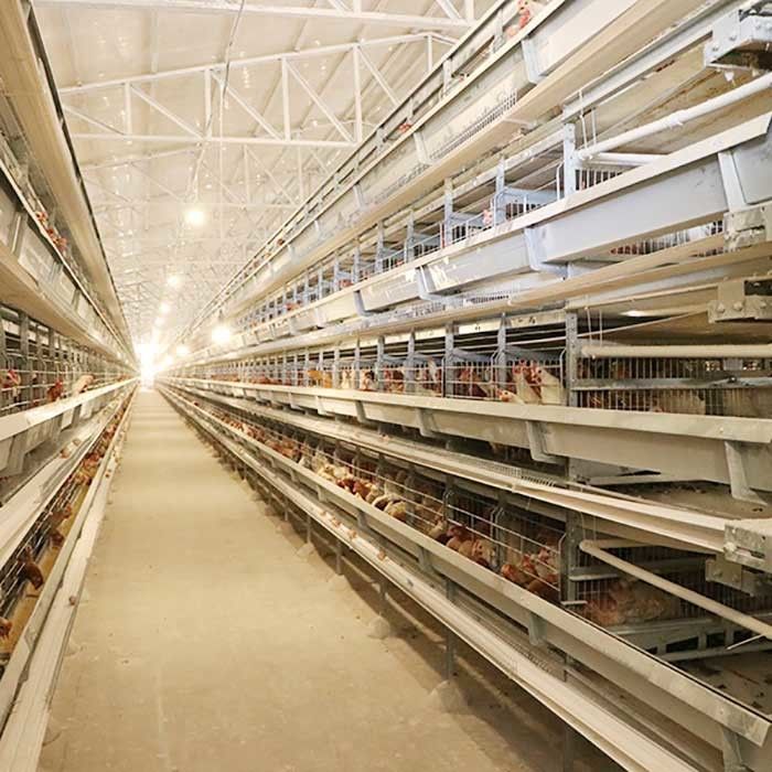 Le attrezzature che automatiche dell'azienda avicola di pollame da uova la H scrive gli uccelli a macchina 4Tiers 192 mettono a strati la gabbia del pollo della batteria per i mercati dell'Africa