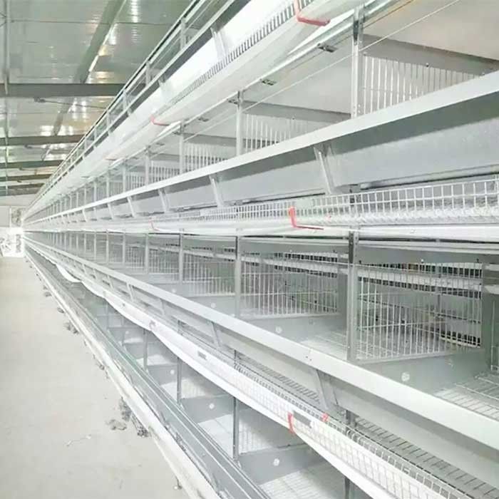 Prestazione stabile 0 della gabbia del pollo del pollame del filo di acciaio Q235 - potere 20kw per l'azienda agricola