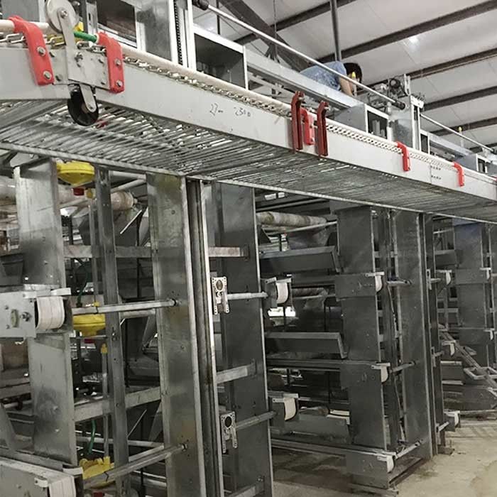 Prestazione stabile 0 della gabbia del pollo del pollame del filo di acciaio Q235 - potere 20kw per l'azienda agricola