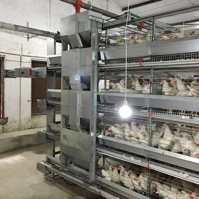 risparmio di lavoro Eco di controllo automatico della gabbia del pollo del pollame di 120 * di 60 * 70cm amichevole