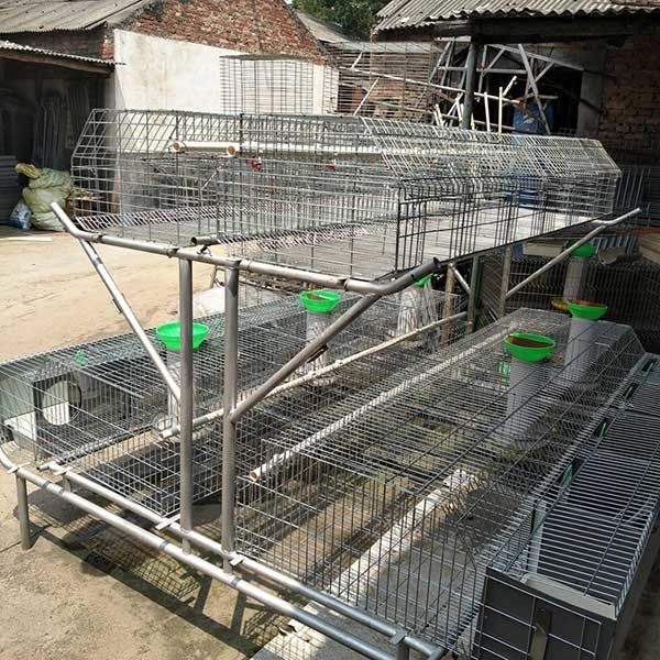 50 - 80 gabbie di allevamento del coniglio dei bambini, conigliera a due stadi rispettosa dell'ambiente