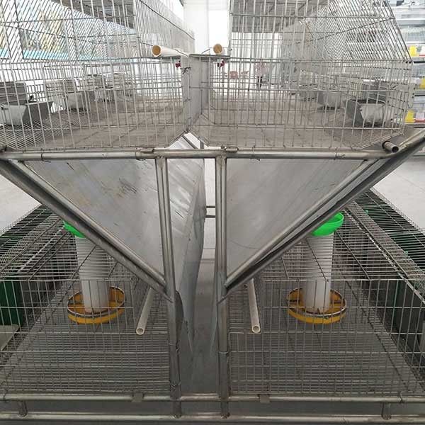 filo di acciaio della gabbia Q235 del coniglio dell'azienda agricola 2400 * di 2000 * di 1500mm/materia plastica