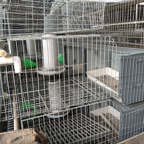 24 beni durevoli facili di funzionamento di pulizia di Tires della gabbia due del coniglio dell'azienda agricola della batteria delle cellule
