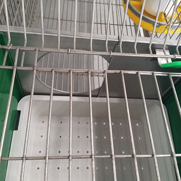 Filo di acciaio Q235/gabbia di plastica del coniglio, batteria che fa funzionare conigliera di lusso