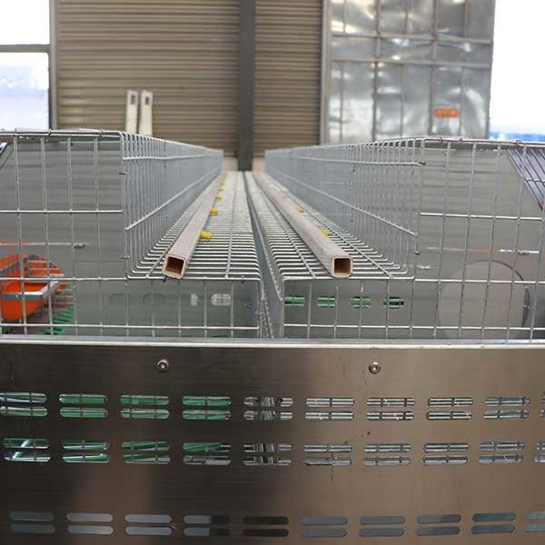 Filo di acciaio astuto comodo della gabbia Q235 del coniglio dell'azienda agricola/materia plastica