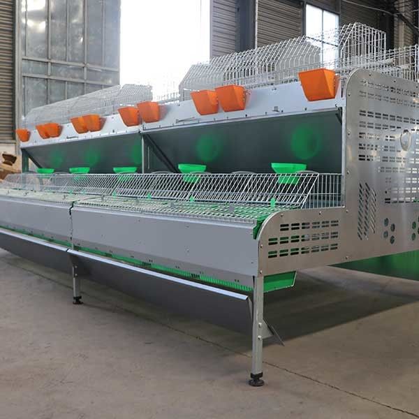 gabbia del coniglio dell'azienda agricola di 2400 * di 2000 * 1500mm per l'elevazione/il trasporto contenitore di allevamento