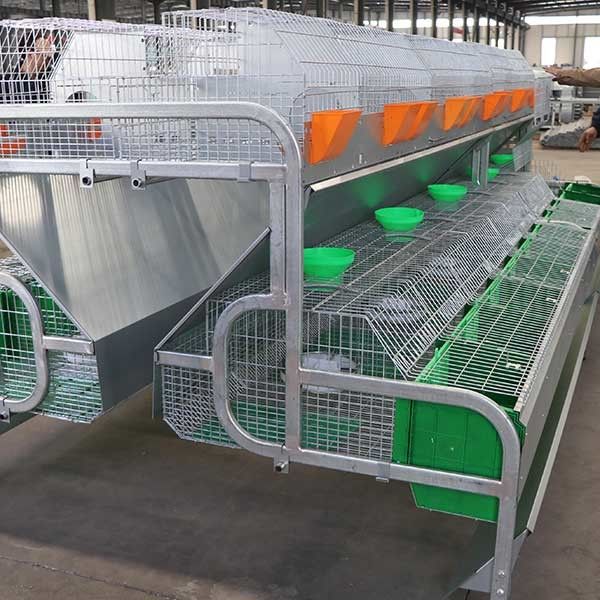 gabbia del coniglio dell'azienda agricola di 2400 * di 2000 * 1500mm per l'elevazione/il trasporto contenitore di allevamento