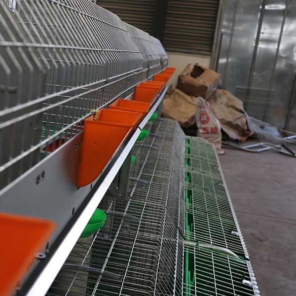 Manutenzione facile di grande di pulizia dell'azienda agricola del coniglio prestazione stabile automatica della gabbia