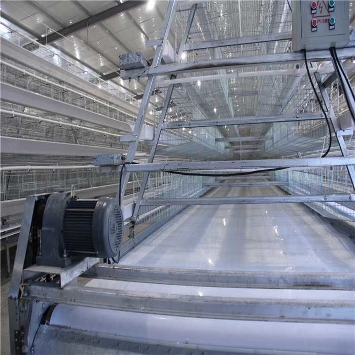 Materiale galvanizzato caldo del concime del filo di acciaio Q235 del sistema automatico di rimozione