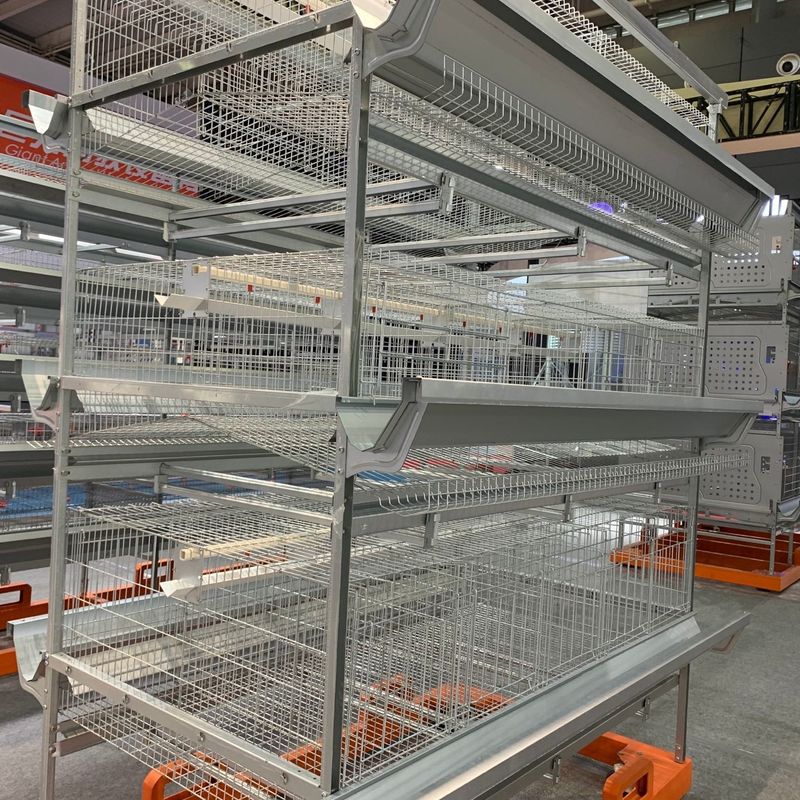 Gabbia animale del pollo del pollame della fila 0.02m3 del bestiame 4