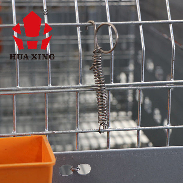 Gabbie crescere galvanizzate calde dell'azienda agricola femminile del coniglio della gabbia per polli del metallo animale della gabbia nel Kenia