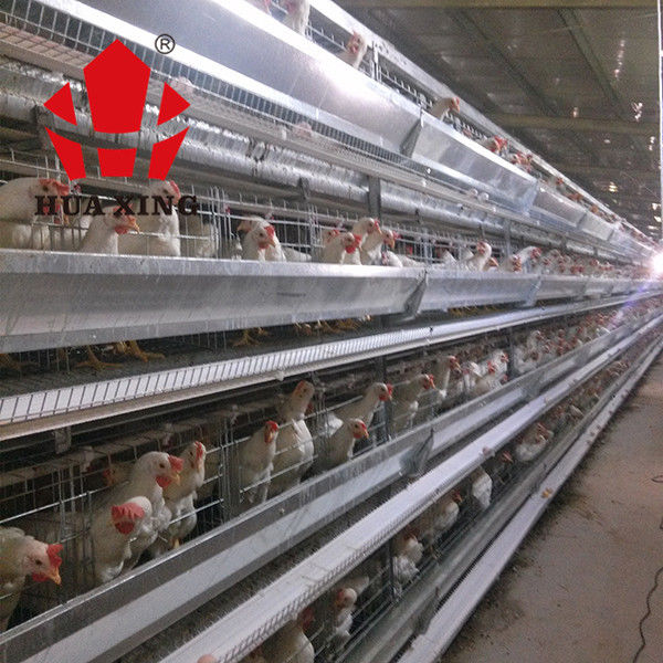 Gabbia situantesi galvanizzata calda di Hen Farming Equipments Layer Chicken degli uccelli dei produttori 90 - 160 della gabbia